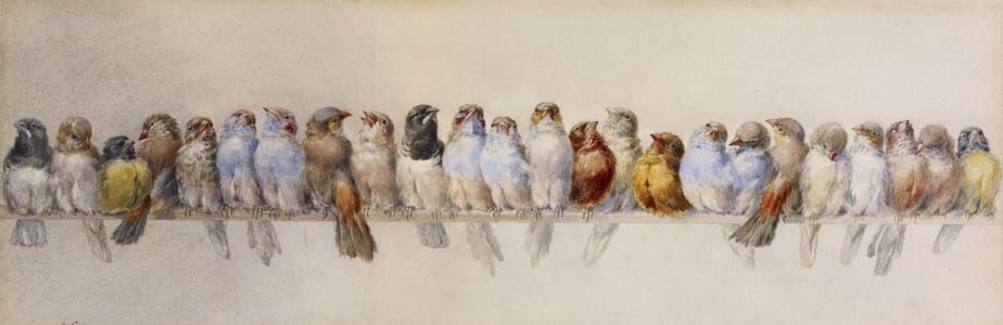 Artwork Title: A Perch of Birds