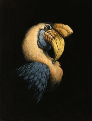Artwork Title: Hornbill