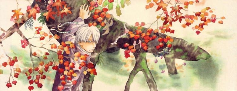 Artwork Title: Mushishi Volume 4