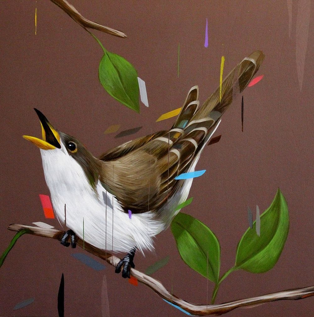 Artwork Title: Yellow Billed Cuckoo