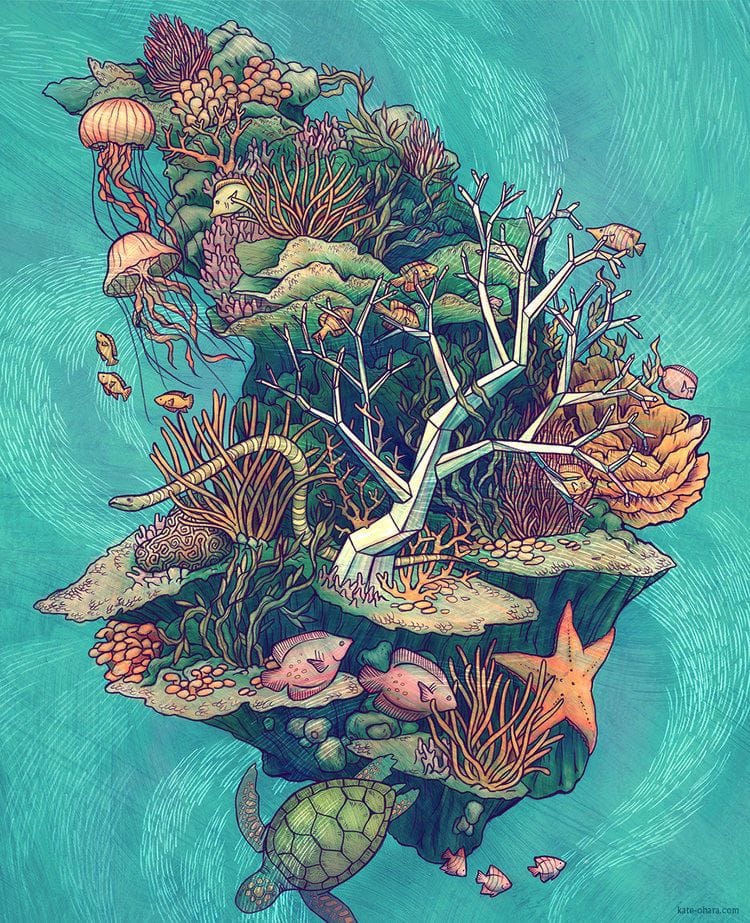 Artwork Title: Coral Communities