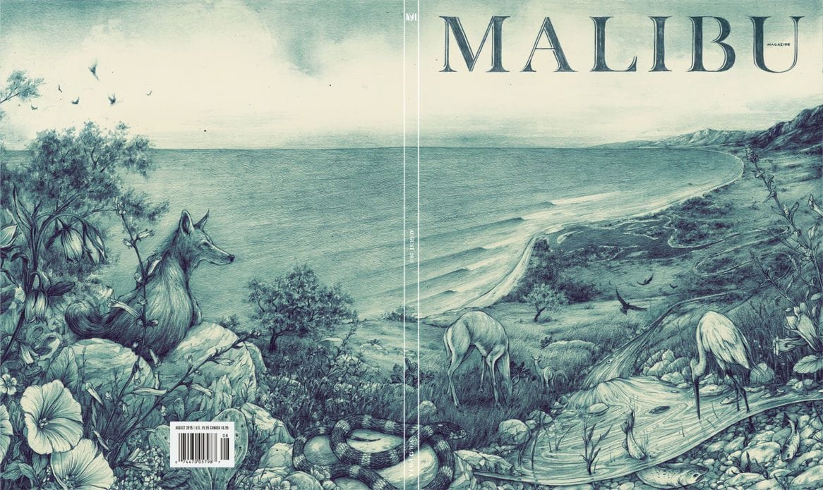 Artwork Title: Malibu Magazine