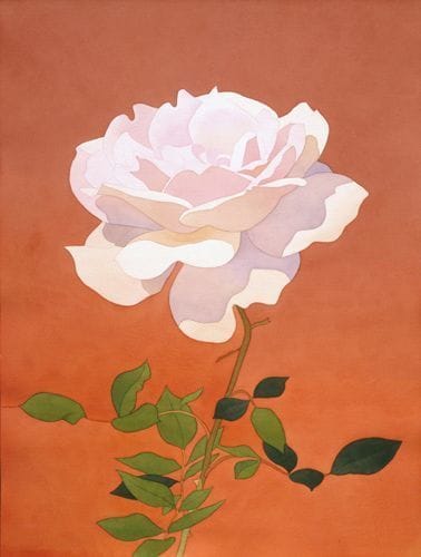 Artwork Title: Pale Pink Rose on Orange Background