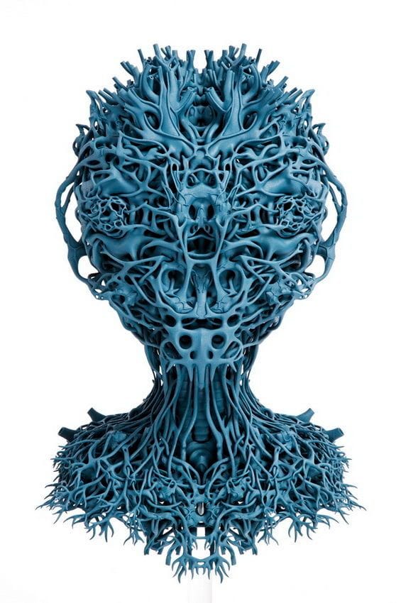 Artwork Title: Agrieborz