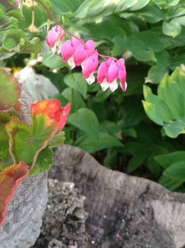 Artwork Title: undefined