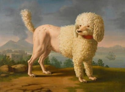 Artwork Title: Portrait of Codina (believed to be Lady Hamilton’s poodle), the Bay of Naples with a British Man-of-