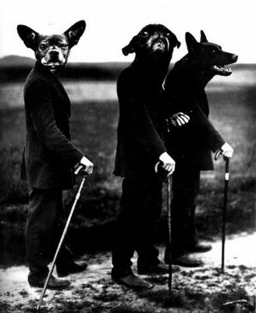 Artwork Title: undefined