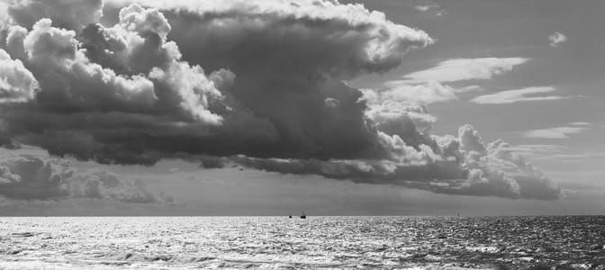 Artwork Title: Untitled