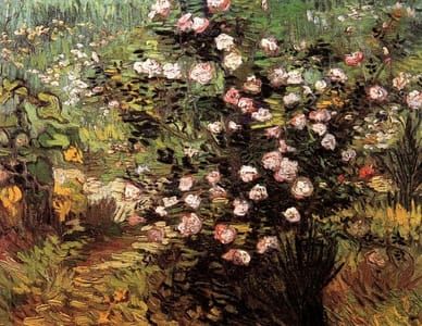 Artwork Title: Rosebush in Blossom