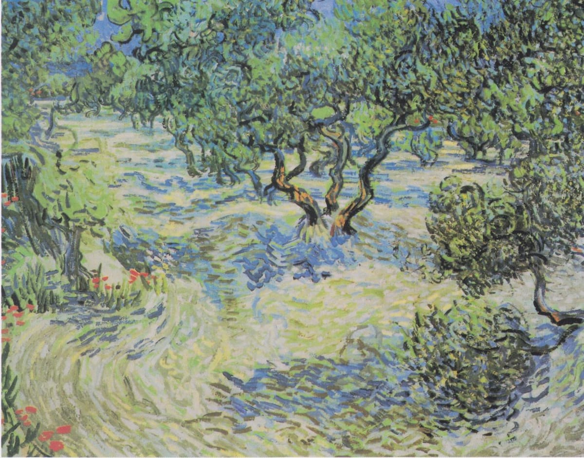 Artwork Title: Olive Grove