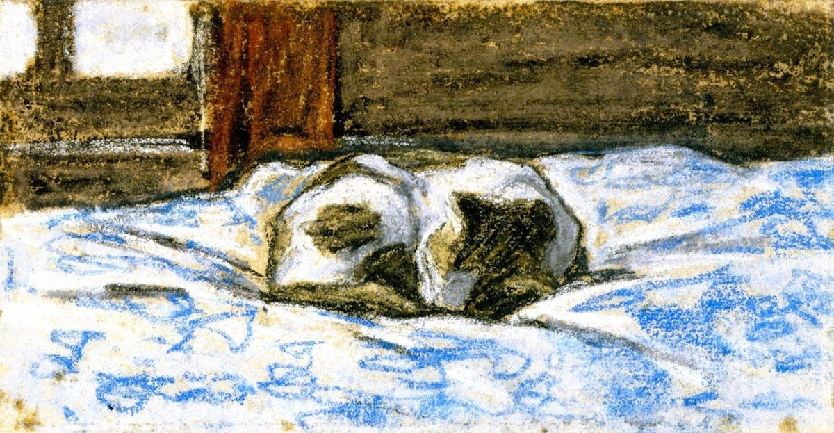 Artwork Title: Cat Sleeping on a Bed