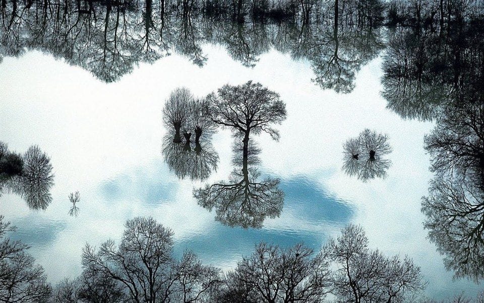 Artwork Title: undefined