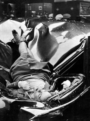 Artwork Title: The Suicide Of Evelyn Francis Mchale