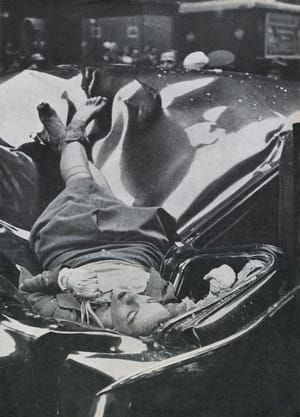 Artwork Title: The Suicide Of Evelyn Francis Mchale