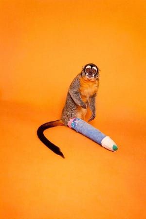 Artwork Title: Howling Monkey (Broken Leg)