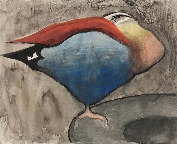 Artwork Title: Sleeping Duck, Wigeon