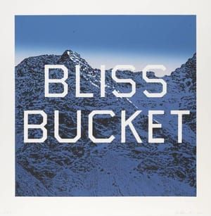 Artwork Title: Bliss Bucket