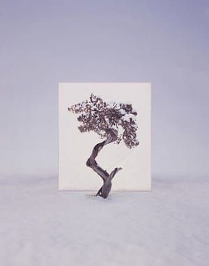 Artwork Title: Tree #12