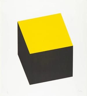 Artwork Title: Yellow/black