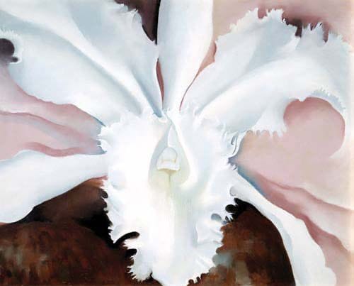 Artwork Title: Narcissa's Last Orchid