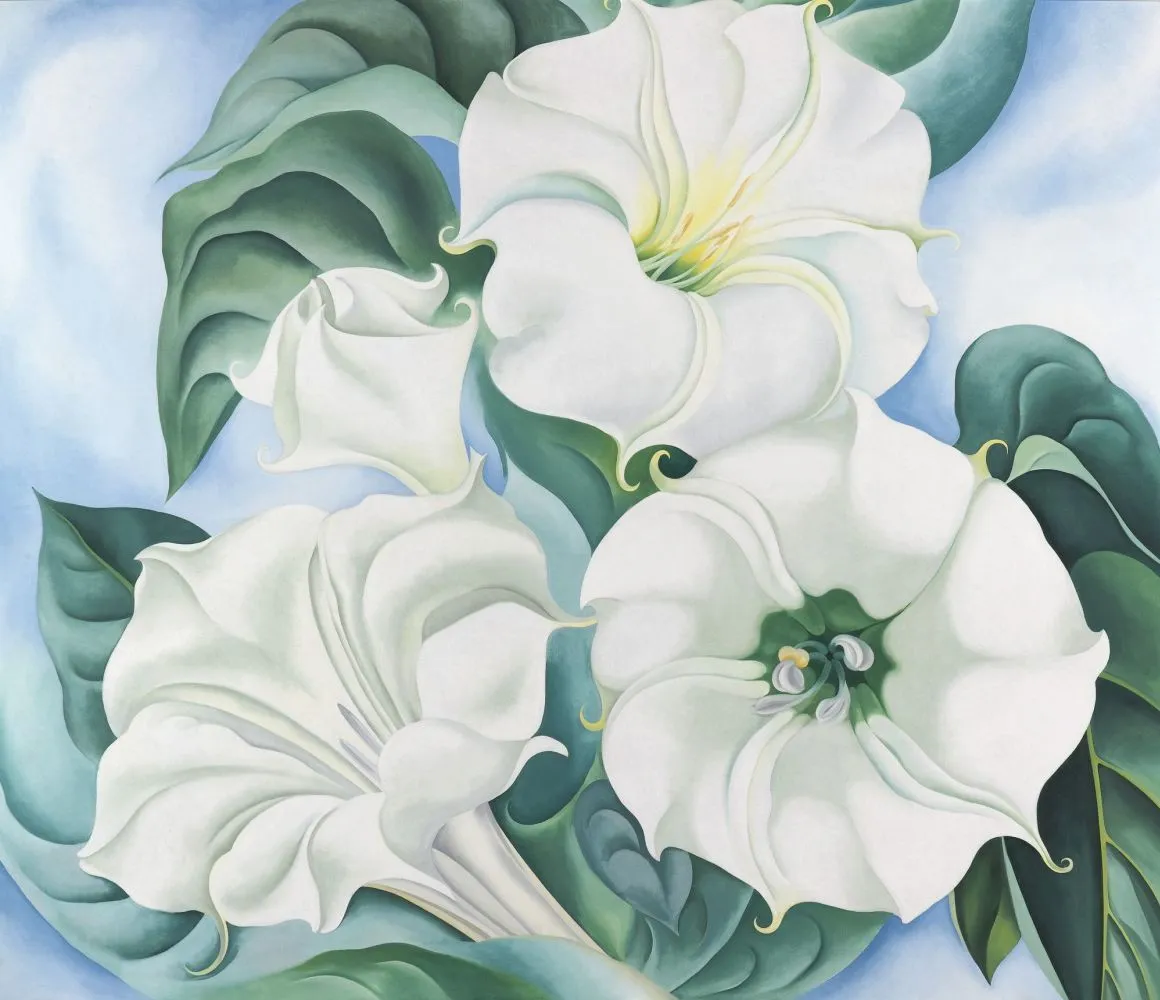 Georgia O'Keeffe - Jimson Weed