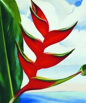 Artwork Title: Heliconia – Crab Claw