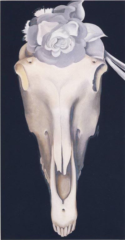 Artwork Title: Horse's Skull with White Rose