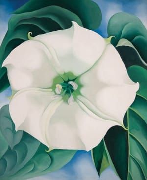 Artwork Title: Jimson Weed/White Flower No. 1