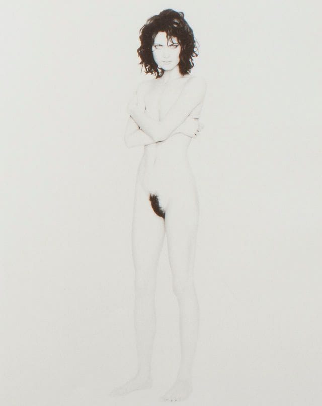 Artwork Title: Shalom Harlow