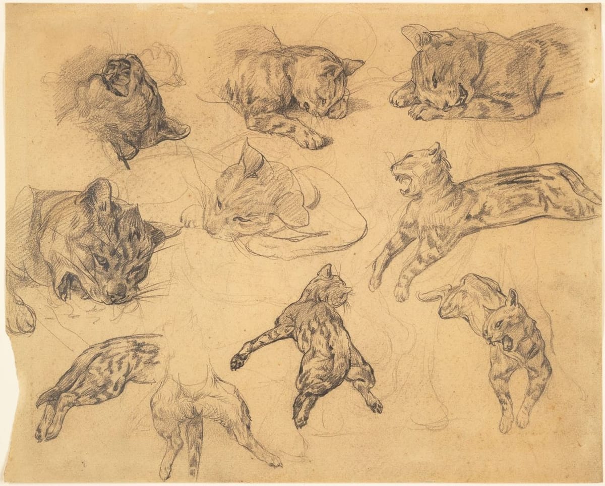 Artwork Title: Studies of a Cat