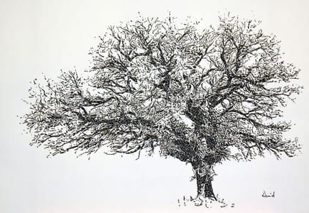 Artwork Title: Tree 3