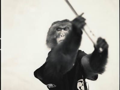 Artwork Title: Suo Sarumawashi (Monkey Dancing)