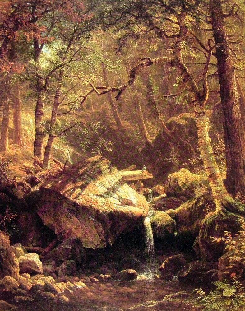 Artwork Title: The Mountain Brook