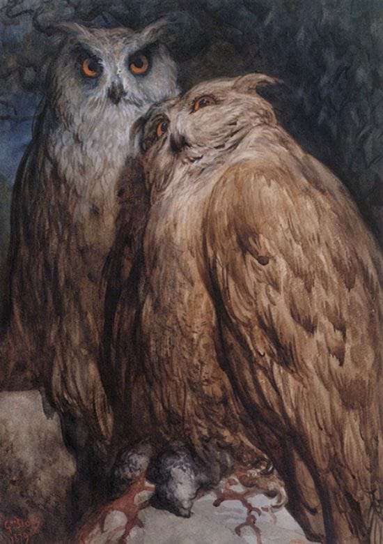 Artwork Title: Two Owls