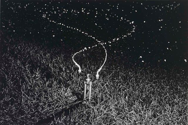 Artwork Title: Water Sprinkler