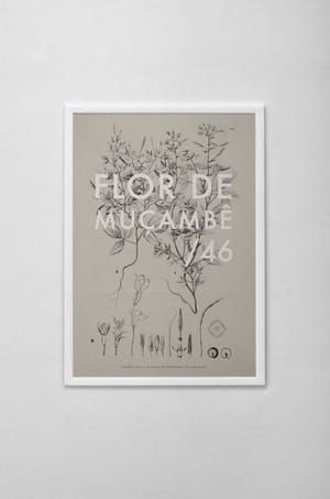 Artwork Title: Flor De Mucambe/46