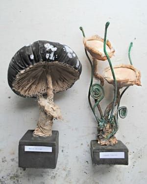 Artwork Title: Textile Mushrooms