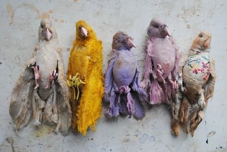 Artwork Title: Textile Birds