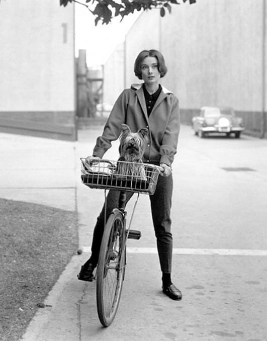 Artwork Title: Audrey Hepburn; On Her Bike With Her Famous Dog At Paramount Studios