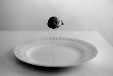 Artwork Title: Study For Levitation Event (brussel Sprout)