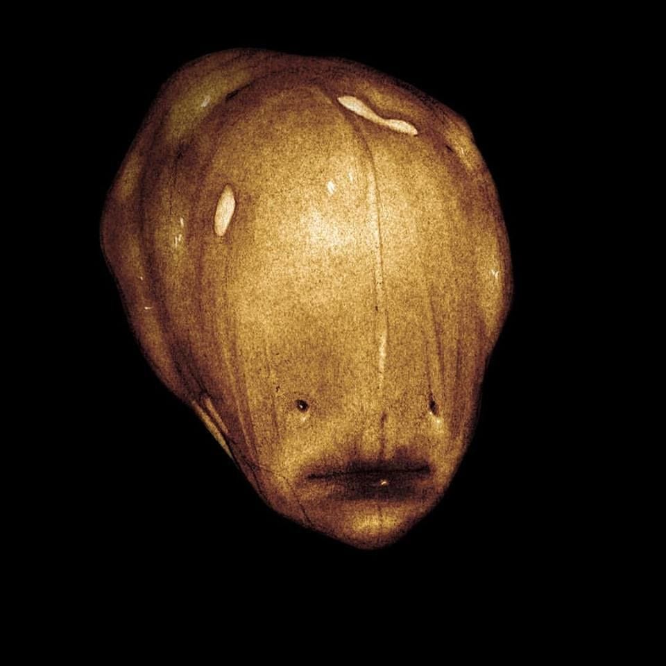 Artwork Title: undefined