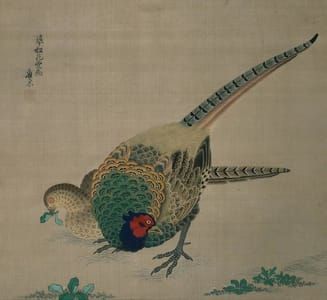 Artwork Title: Hanging Scroll (pheasant)