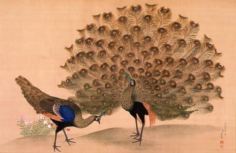 Artwork Title: Peacock and Peahen