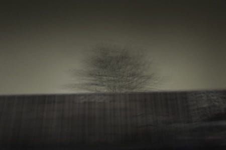 Artwork Title: Untitled