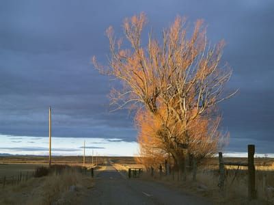 Artwork Title: Driveway, 71 Ranch, Deeth, Nevada
