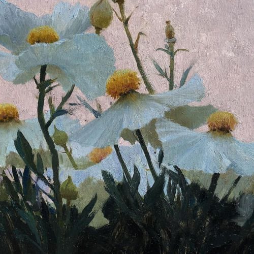 Artwork Title: A study of Matilija poppies against a smokey sunset
