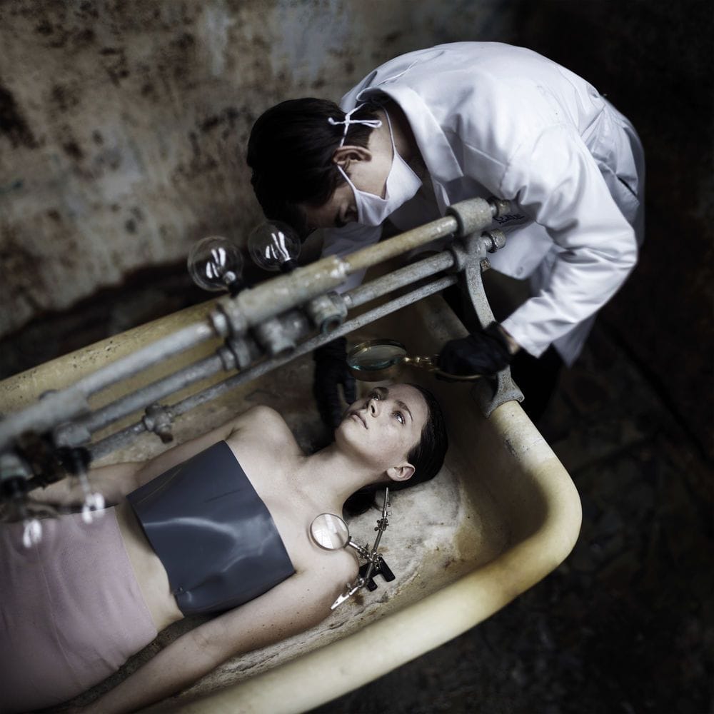 Artwork Title: The Inspection