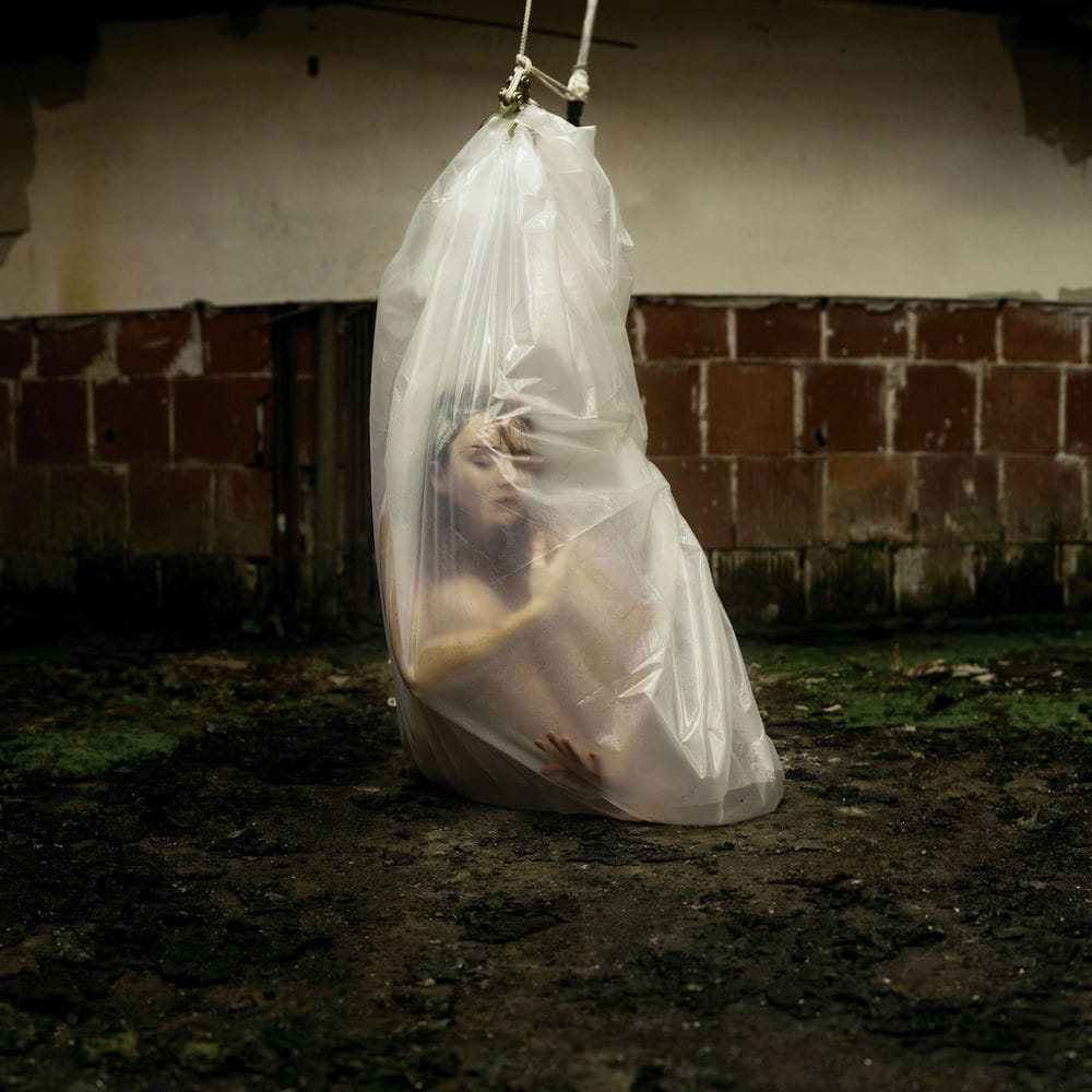 Artwork Title: The Incubation