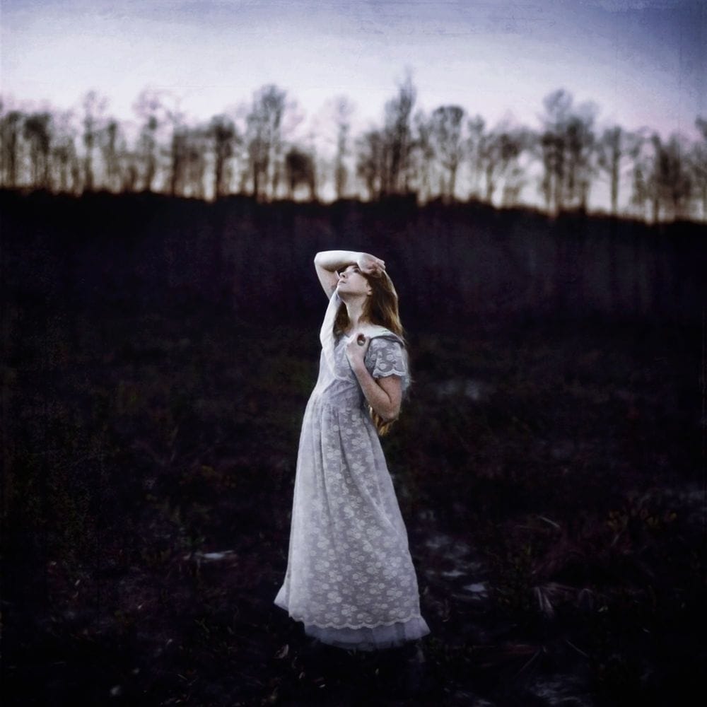 Artwork Title: The Field