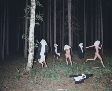 Artwork Title: Untitled